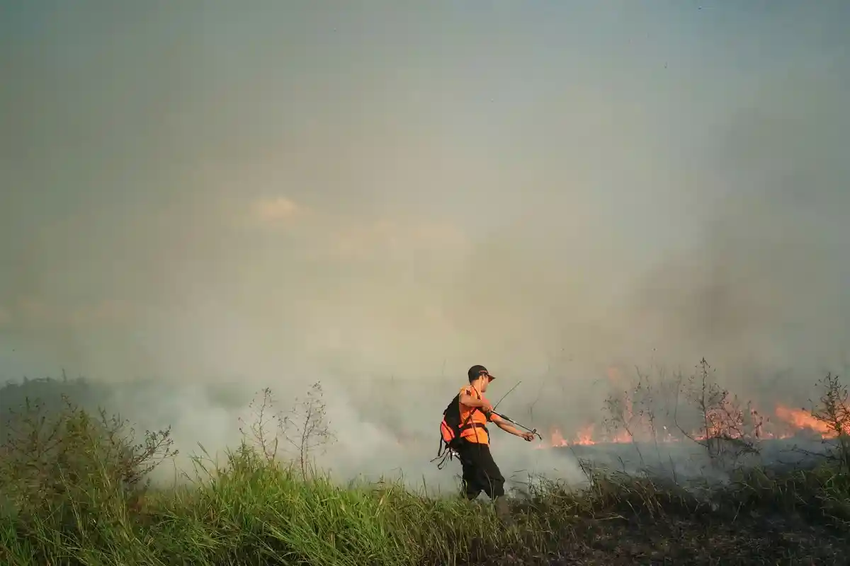 Karhutla Sangat Merugikan, Paman Birin Ingin Setiap SKPD Pemprov Kalsel Punya Satu Alat Pemadam