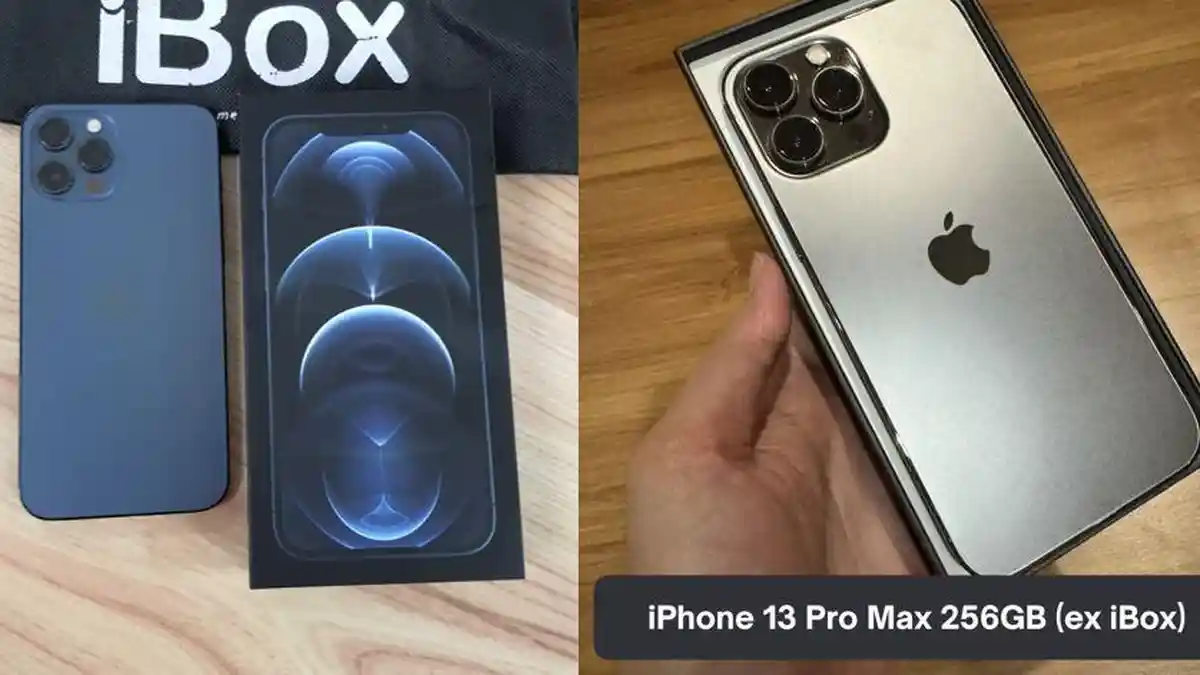 iPhone Second 2025: Ini Daftar Harga HP iPhone 12 Pro Max Vs iPhone 13 Pro Max Mulai Rp 6 Jutaan