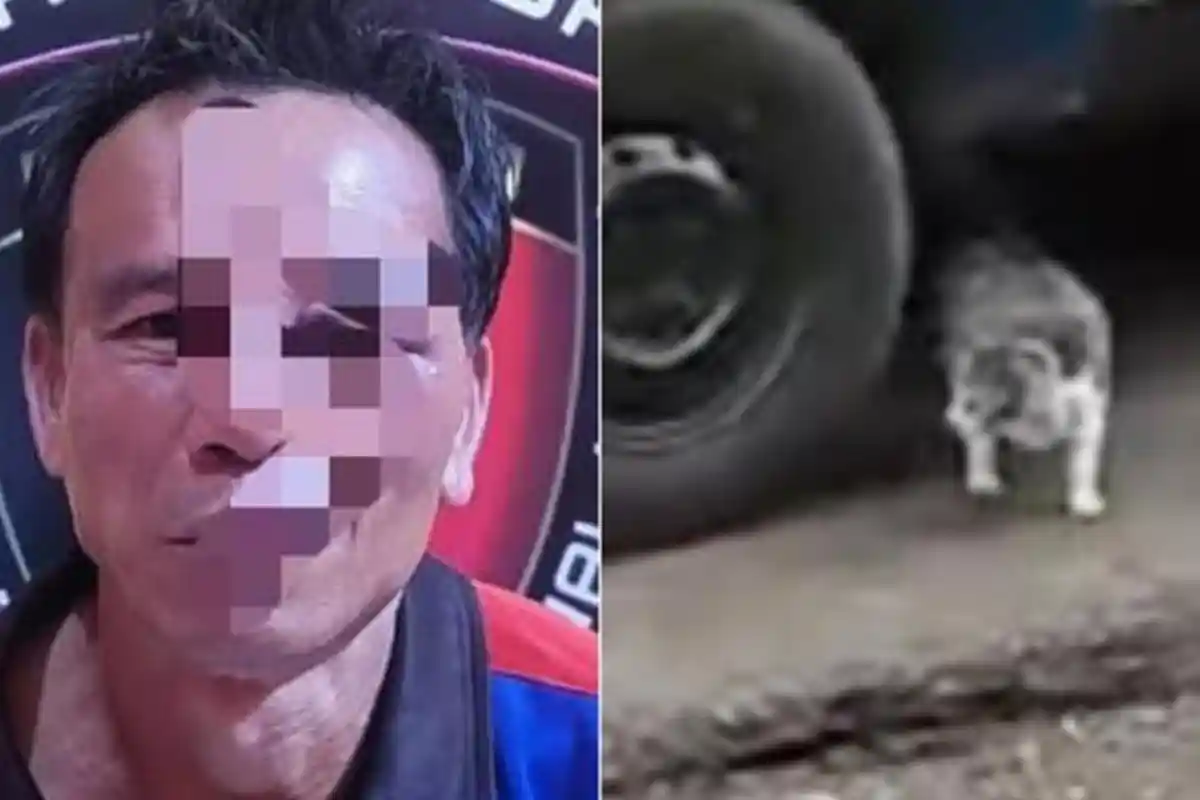 Ngaku Jual Daging Kambing Muda, Pria Ini Ternyata Edarkan Daging Kucing dan Sudah Jagal 100 Ekor