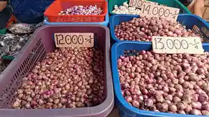 Penjualan-bawang-merah-di-pasar-tradisional-Medan.jpg
