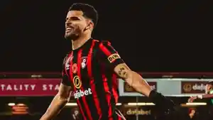 Pemain-Bournemouth-Dominic-Solanke.jpg