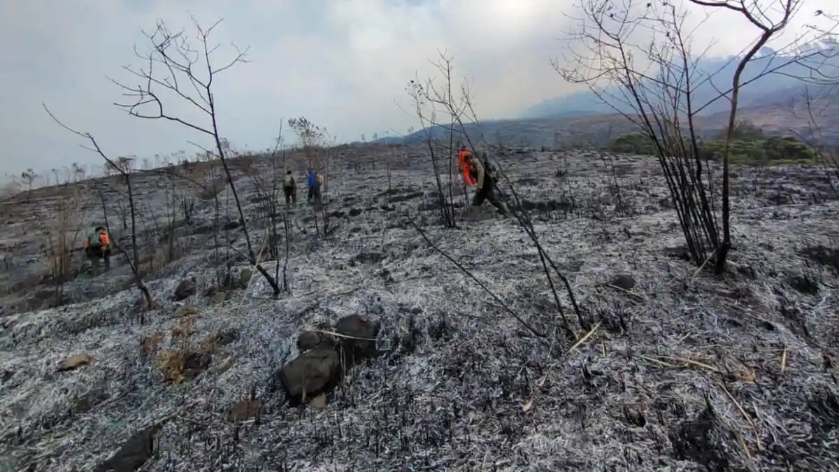 Foto-foto Kebakaran Melanda Lahan Perbukitan Bukit Budug Asu di Gunung Arjuno