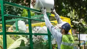 SAMPAH-Pemilahan-dan-pengangkutan-sampah-di-wilayah-Kabupaten-Banyuwangi.jpg