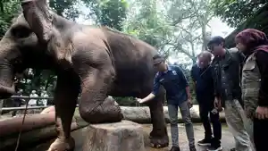 GL-Zoo-Jadi-Kandidat-Kuat-Pengelola-Baru-Bandung-Zoo-Bersaing-dengan-Taman-Safari-dan-Faunaland.jpg