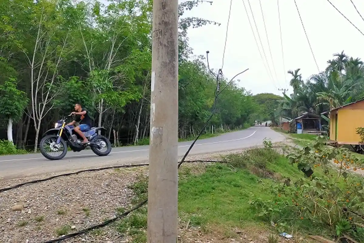 Disenggol Truk, Kabel Listrik Terlepas dan Jatuh, Suplai Listrik ke Pelanggan Putus