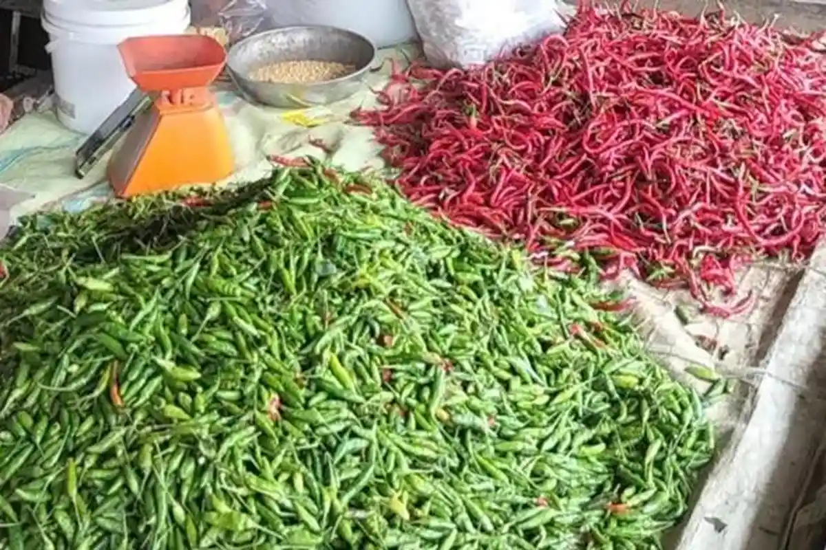 Update Harga Cabai Hari ini di Musi Rawas 22 Oktober 2025, Merah Keriting Naik Jadi Rp70 Ribu per Kg