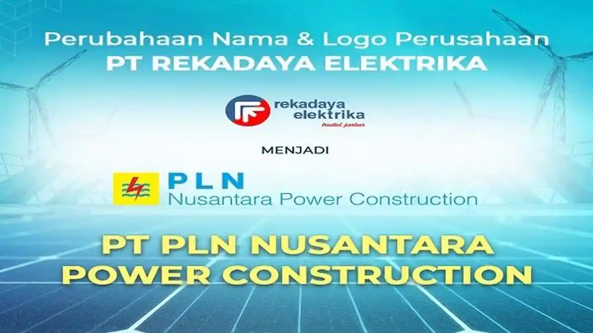 Khusus Profesional, Begini Cara Daftar Lowongan Kerja PT PLN NPC, Cek Posisi dan Kualifikasi Pelamar