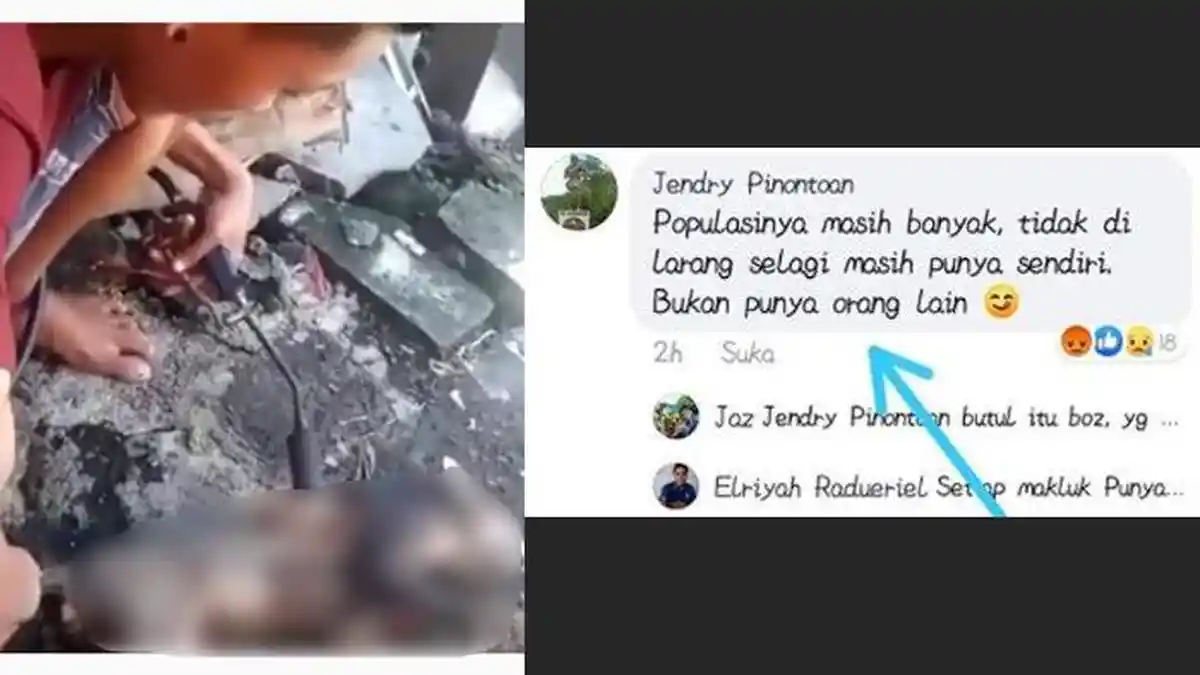 Viral Video Pemuda Bakar dan Hobi Makan Kucing, Komunitas Pecinta Hewan Beri Peringatan Keras