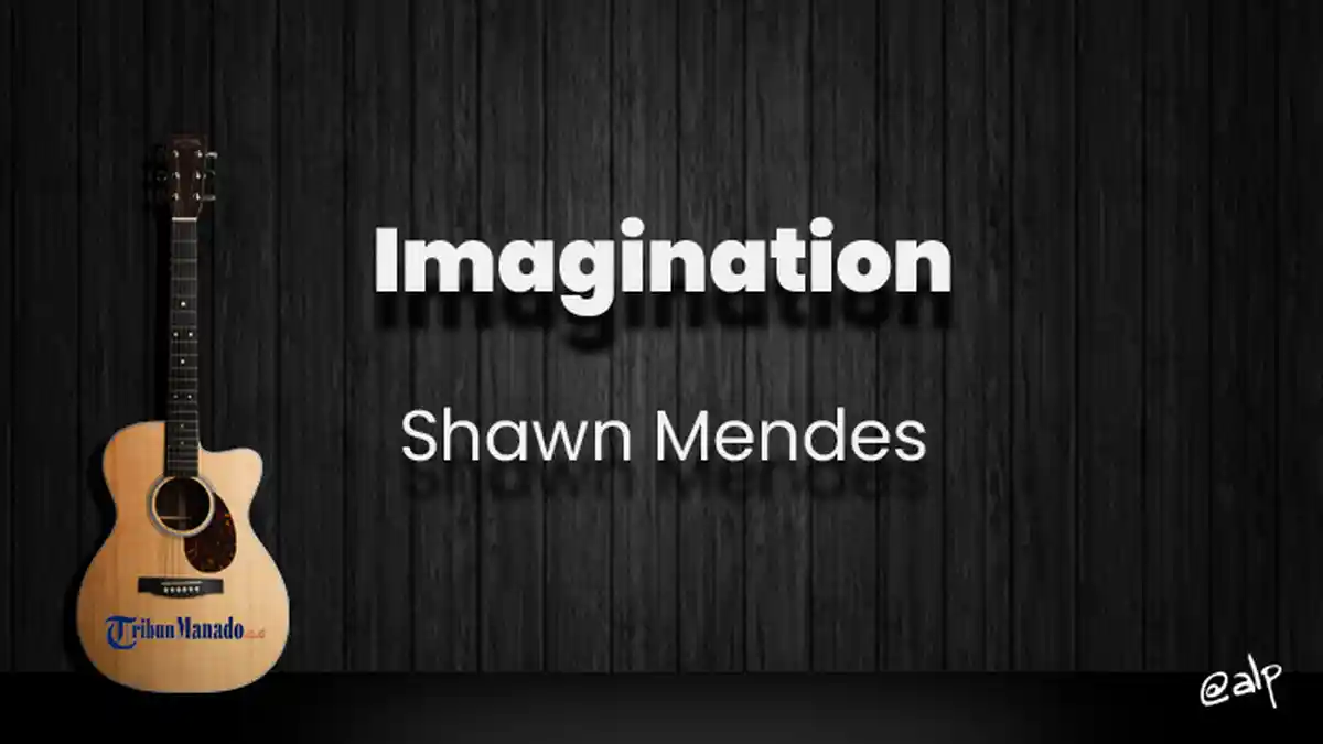 Chord Imagination - Shawn Mendes, Kunci Gitar Dasar C, Lirik Lagu Oh There She Goes Again