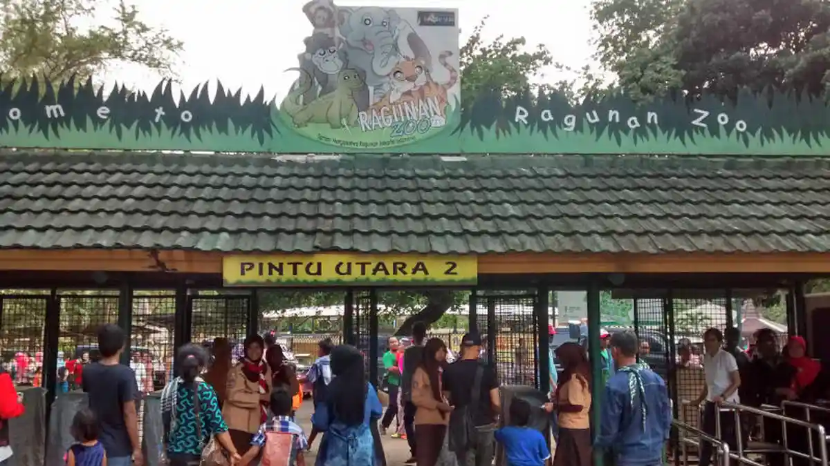190.000 Orang Kunjungi Kebun Binatang Ragunan pada Hari Pertama Tahun 2016