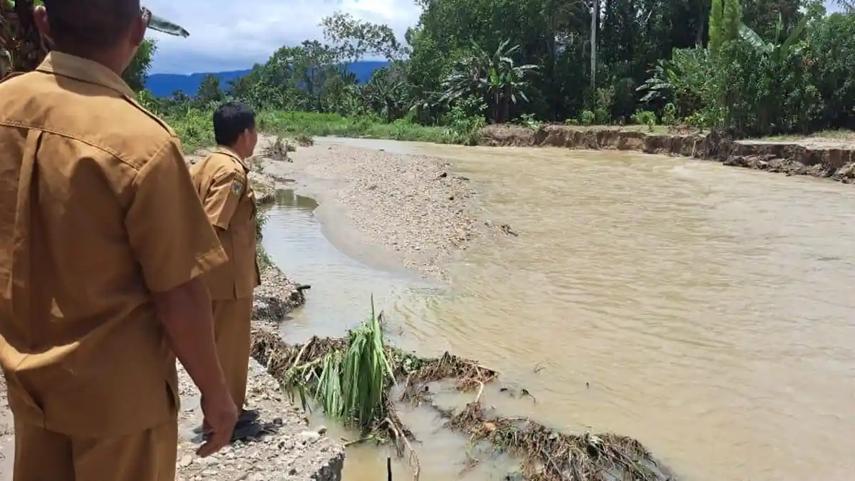 Curah Hujan Tinggi, Banjir Rendam Kebun Warga di Poso