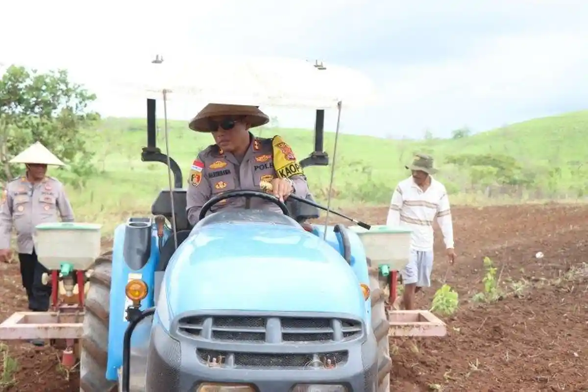 Petani dan Polres Sumba Timur Kolaborasi Tanam Jagung Seluas 50 Hektar