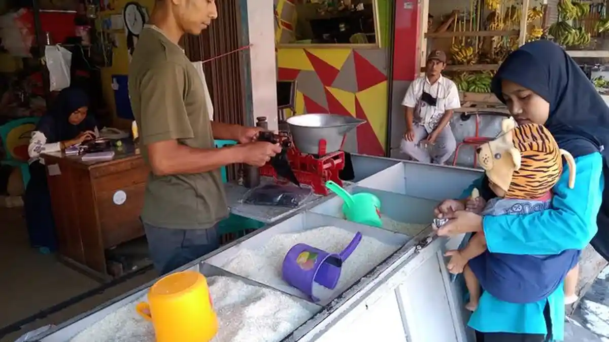 Harga Beras di Indramayu Stabil, Pedagang Prediksi Harganya Akan Melonjak, Ini Penyebabnya