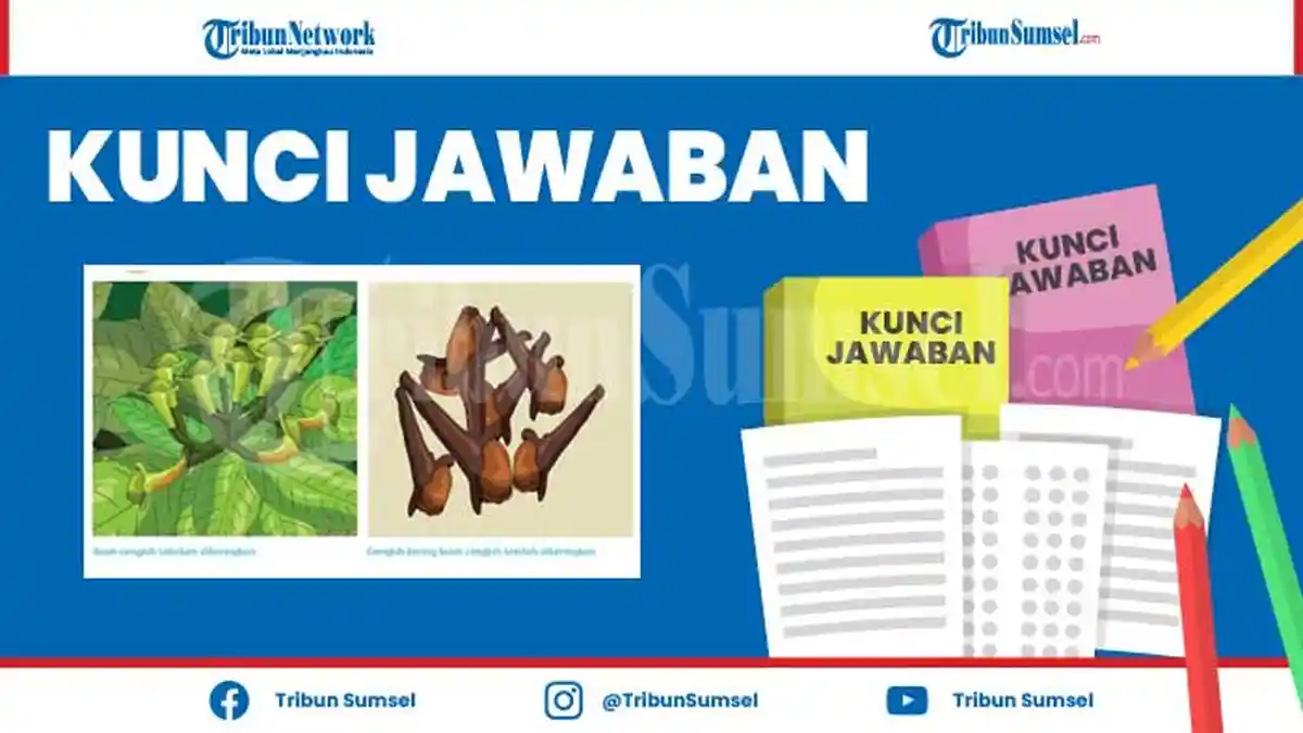 Siapa yang Dimaksud dengan Bangsa Barat? Kunci Jawaban Tematik Tema 7 Kelas 5 SD/MI Halaman 6
