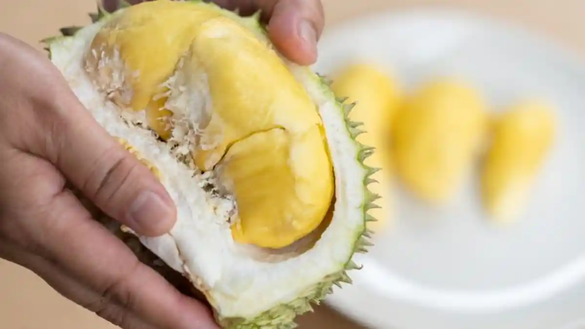 MUSIM Durian di Batam, Durian Tanjung Batu Dijual Rp 50 Ribu per Kg