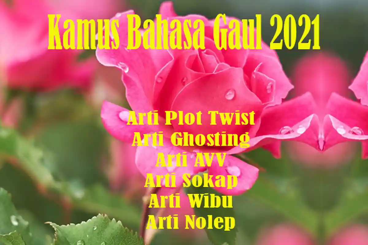 Kamus Bahasa Gaul 2021: Arti Plot Twist, Arti Ghosting, Arti AVV, Arti Sokap, Arti Wibu & Arti Nolep