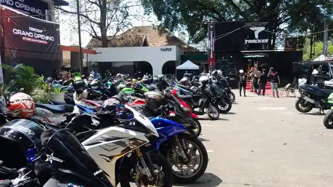 Tribun