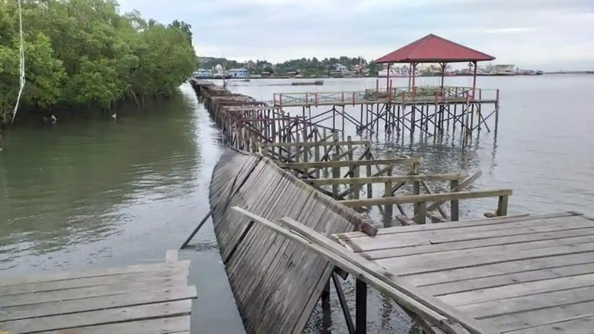 Jembatan Ulin Kariangau Rusak 200 Meter Dihantam Gelombang, Kelurahan Berharap bisa Ditinggikan