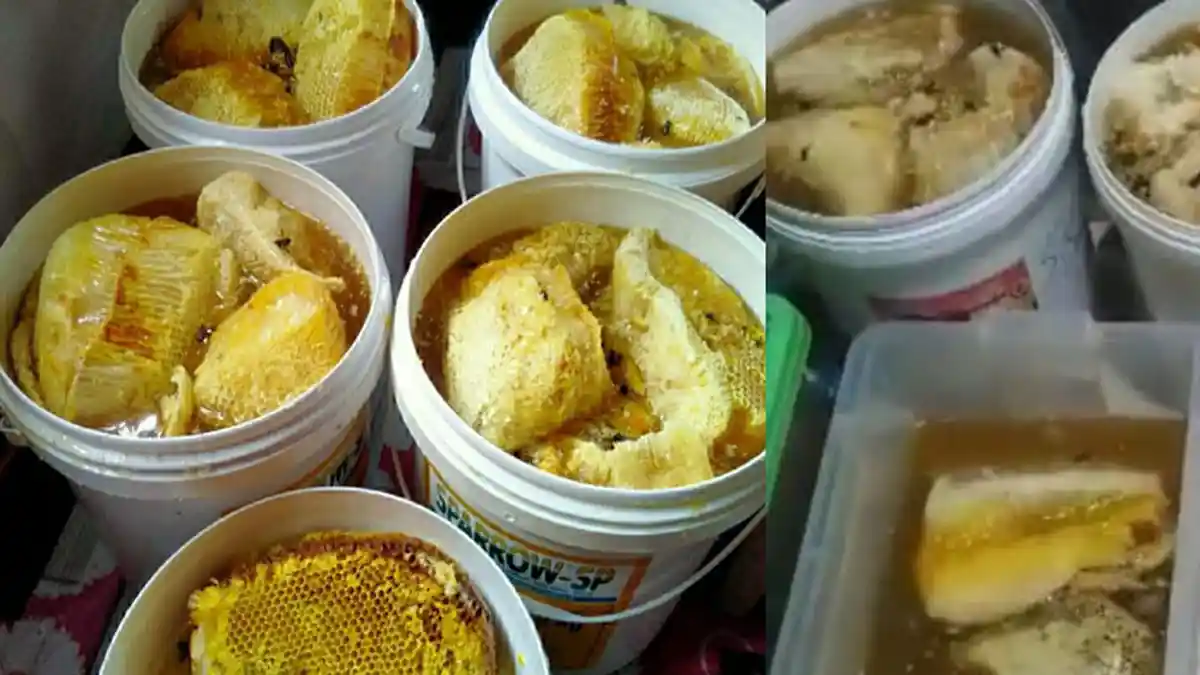 Cara Mengolah Madu untuk Meningkatkan Kecerdasan