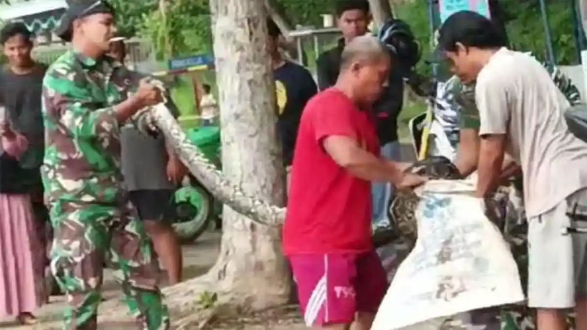 Nyamannya Pangkalan TNI AL Batuporon Bangkalan, Warga Terbiasa Lihat Ular Piton dan Rusa Melintas