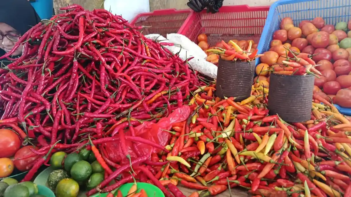 Harga Cabai Rawit di Pasar Rakyat Bula Melonjak, Capai Rp 100 ribu per Kilo