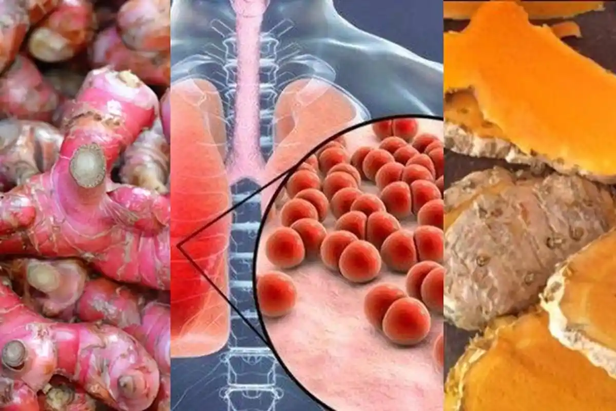 Dipercaya Tangkal Virus Corona, Jahe Merah, Kunyit serta Temulawak Bisa Lawan Sitokin di Paru-paru