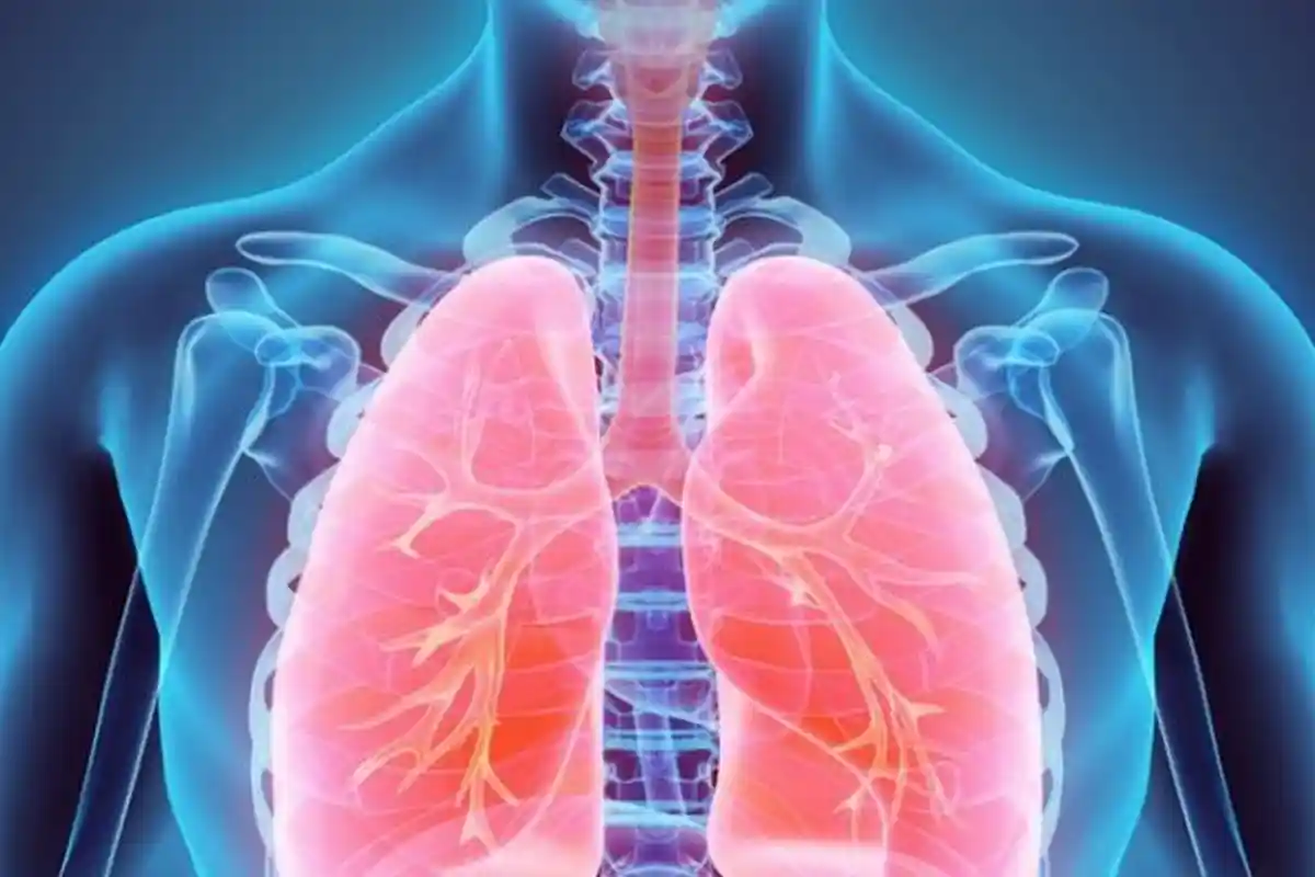 Waspada Polusi! Ini Deretan 10 Makanan yang Bantu Jaga Paru-paru Tetap Sehat