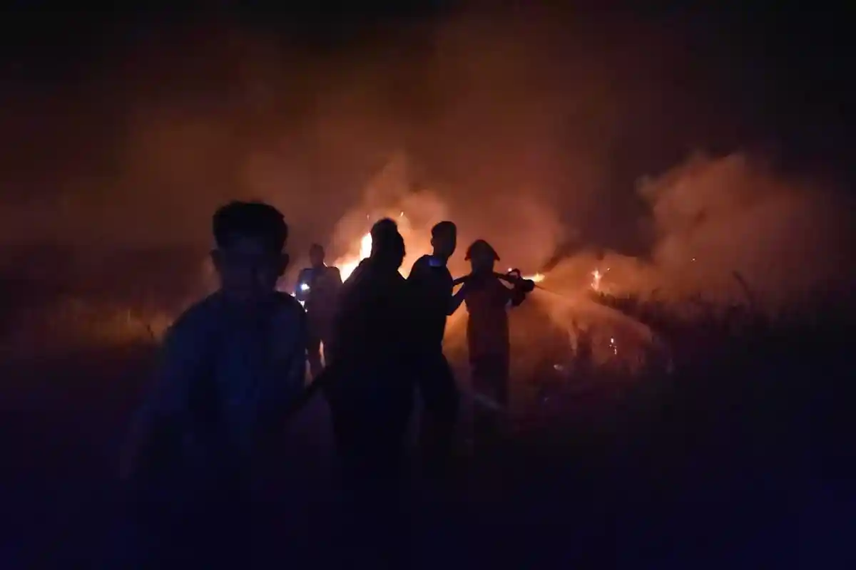 Sebabkan 24 Haktare Lahan Terbakar di Sungai Rambutan Ogan Ilir, Diduga Sengaja Dibakar Masyarakat