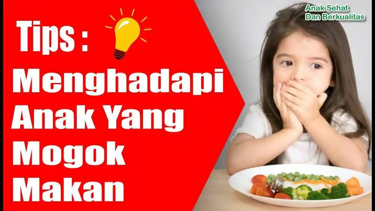 5 Cara Mudah Mengatasi Anak yang Mogok Makan, Lakukan Tips Ini Dijamin Si Kecil Makan Lahap