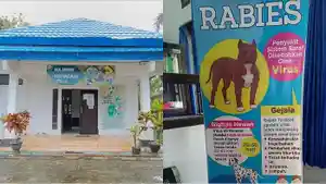 Ciri-ciri-Anjing-dan-Kucing-Terkena-Rabies-Cara-Penanganan-15-Kasus-Tercatat-di-Sulawesi-Tenggara.jpg
