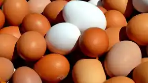 Ilustrasi-telur-ayam-3-DAFTAR-Harga-Sembako-di-Bali-Hari-Ini-5-Juli-Minyak-Curah-Rp15500.jpg