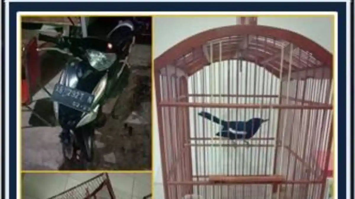 Curi Burung Tetangga Seharga Rp 3 Juta, Pemuda di Sleman Meringkuk di Tahanan 