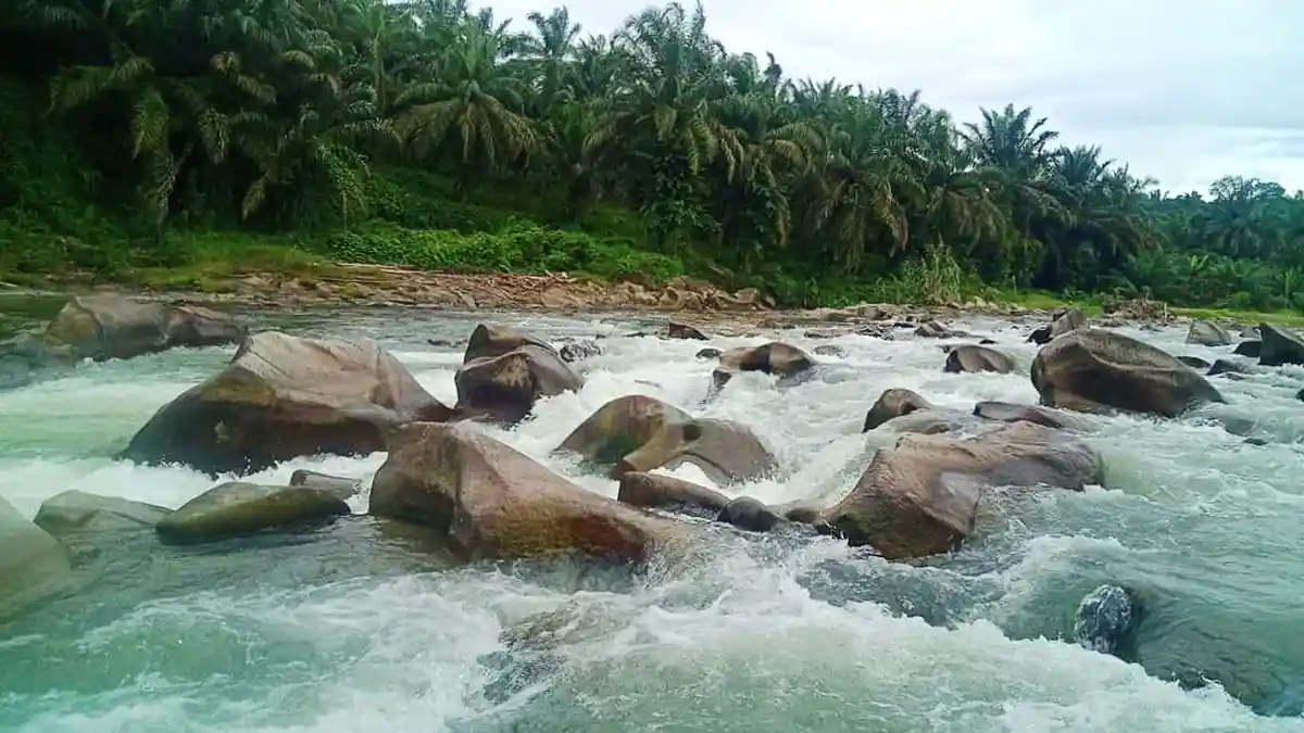 Pantai Salju dengan Debit Air yang Deras dan Keindahan Panorama Alam