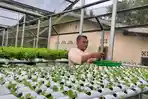 Asa Arison di Balik Kebun Hidroponik Samping Rumah