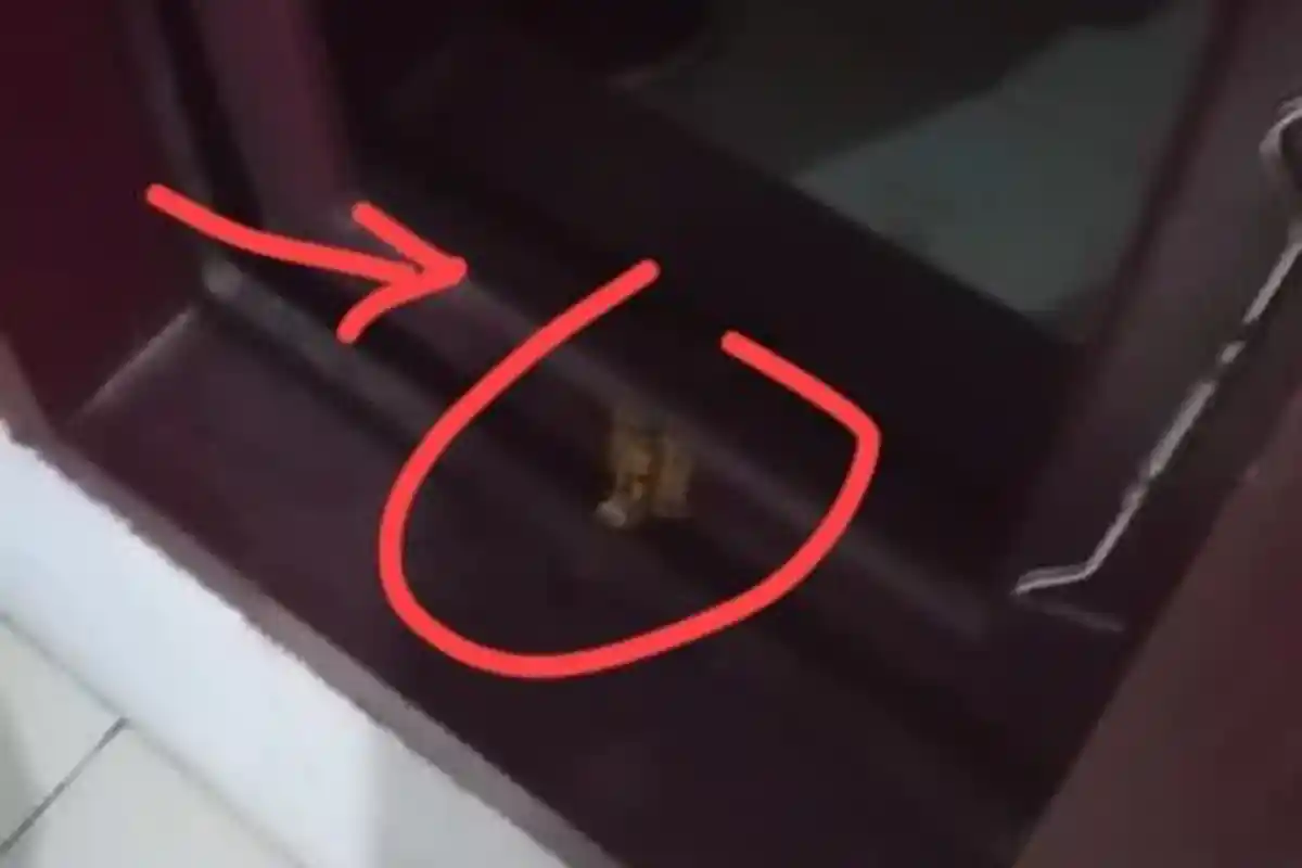 Laptop Aset BPKPAD Mateng Digondol Maling, Begini Respon Kepala Badan Imansyah 