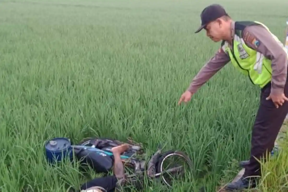 Kecelakaan Maut Pukul 12.00 WIB, Petani Tewas, Motor Terpeleset dan Korban Terpelanting ke Sawah
