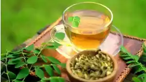 Teh-Daun-Kelor.jpg