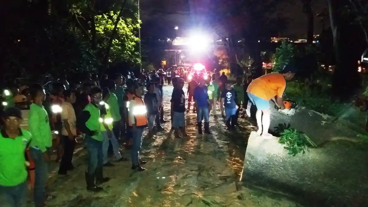 Netizen Galang Dana untuk Bayi dari Pasutri Korban Tewas Pohon Tumbang di UI