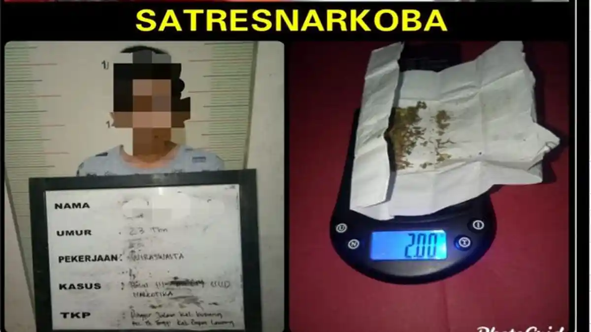 ZH Buang Bungkusan Kertas Putih ketika Petugas Mendekatinya, Ternyata Isinya Narkotika Jenis Ganja