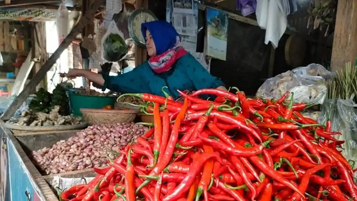 Harga Cabai di Labuan Bajo Tembus Rp 100 Ribu per Kilogram