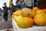 Sejumlah Pedagang Timun Suri Ramadan Ramai Pembeli