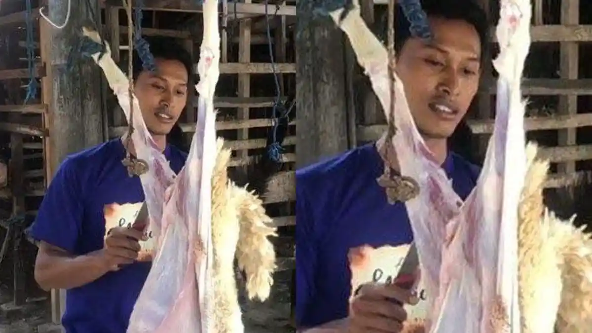 Nasib Amir Dulu Sukses Ternak Kambing, Kini Terlilit Utang Rp400 Juta, Berharap Ditolong Prabowo