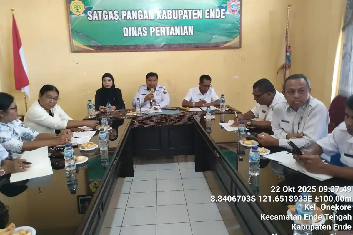 Festival Pangan Se-Daratan Flores-Lembata Digelar di Ende, Angkat Potensi Pangan Lokal