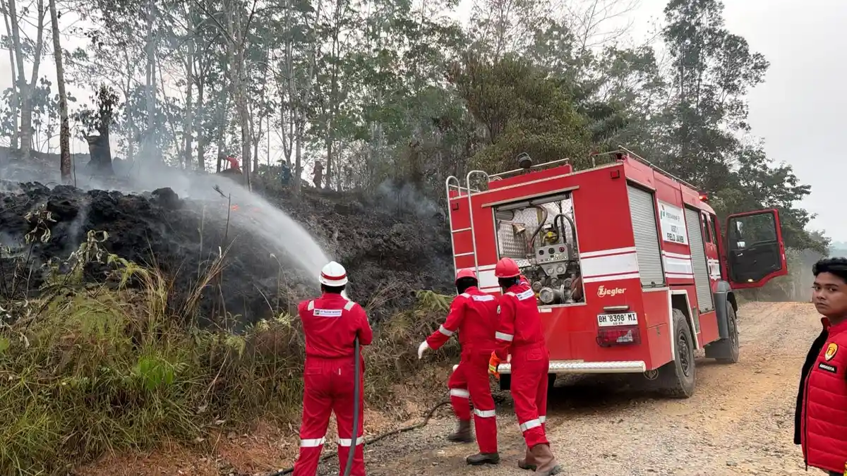 Pertamina EP Jambi Bantu Padamkan 5 Titik Kebakaran Lahan