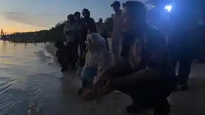 20260608_Melepas-Tukik-di-Berau-Kaltim.jpg
