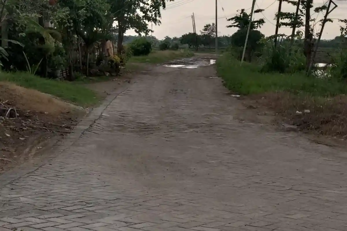 Banjir Kali Lamong di Balongpanggang Gresik Sudah Surut, Camat: Pengerukan Sangat Berdampak