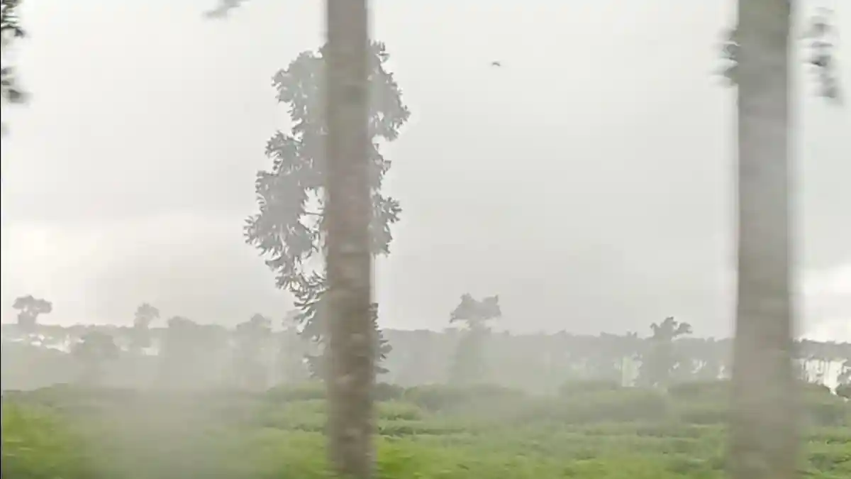 Waspada Hujan, Update Prakiraan Cuaca Kepahiang Bengkulu Kamis, 10 Juli 2025