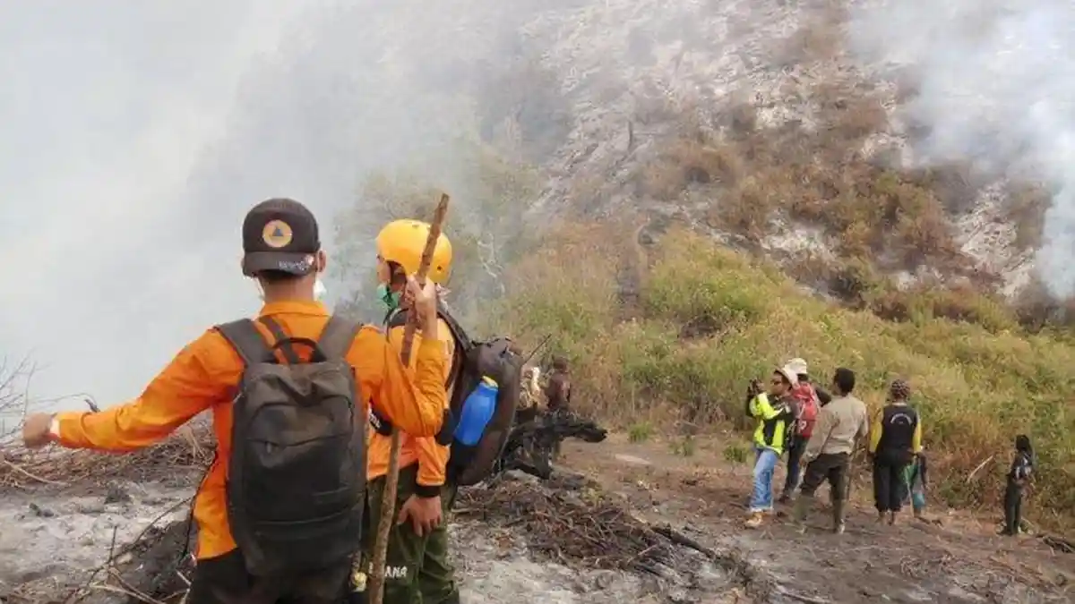 Kebakaran Hutan Gunung Slamet Meluas ke Wilayah Banyumas