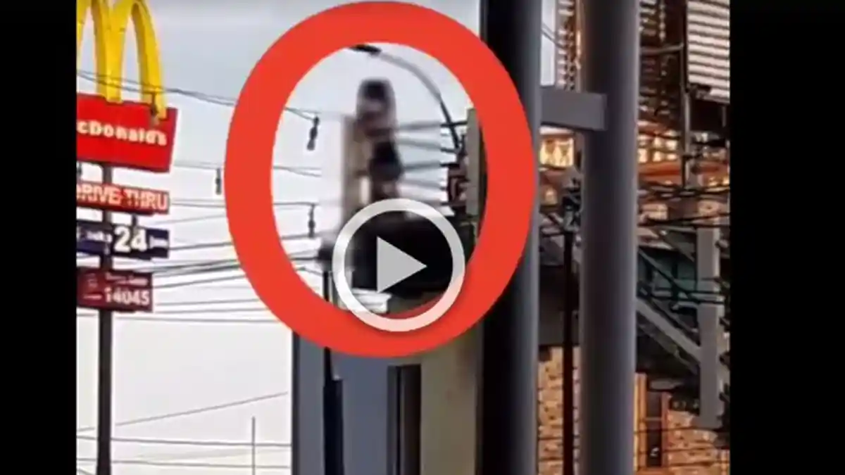 VIDEO: Edan, Sepasang Abg Nekat Mesum Diatas Jembatan Penyebrangan
