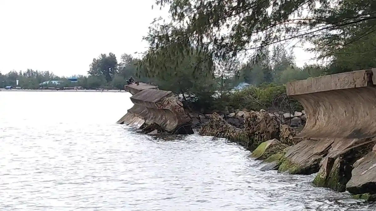 Tanggul Jebol, Abrasi Meluas di Pantai Pulo Sarok Aceh Singkil